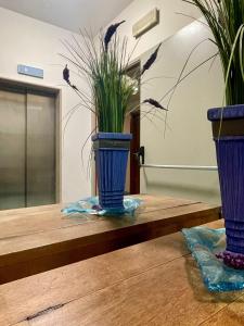 Fotografie z fotogalerie ubytování Hotel Costa Verde v destinaci Tortoreto Lido
