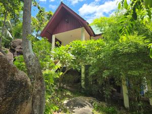 Dream seaview bungalows外面的花园