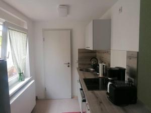 a white kitchen with a counter and a sink at Ferienwohnung im Gartenhaus in Kelbra