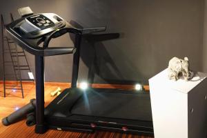 Posilňovňa alebo fitness centrum v ubytovaní Gîte à la campagne Les Grandes Maisons Espace jacuzzi hammam SPA