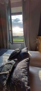 a bedroom with a bed with pillows and a window at Les Grands Gîtes de Cancale, gîtes de charme avec jacuzzi in La Coudre