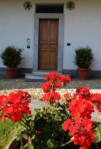 Zahrada ubytování B&B Margè