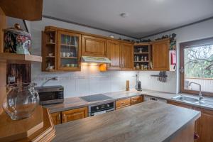 Kuchyňa alebo kuchynka v ubytovaní Elements Apartments & Renata