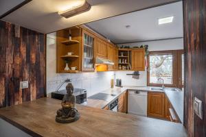 Kuchyňa alebo kuchynka v ubytovaní Elements Apartments & Renata