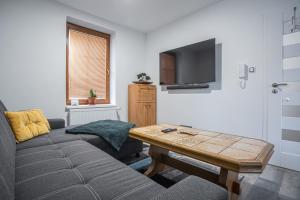 Televízia a/alebo spoločenská miestnosť v ubytovaní Elements Apartments & Renata