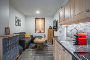 Kuchyňa alebo kuchynka v ubytovaní Elements Apartments & Renata