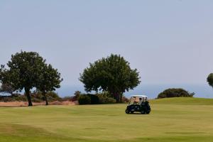 Golf v rezortu nebo okolí