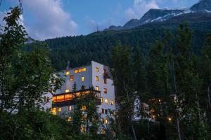 Příroda nedaleko hostelu