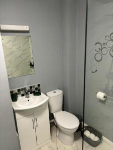 a bathroom with a toilet and a sink and a shower at The smithy in Hodnet +10 photos