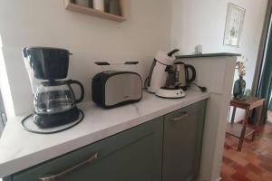 un bancone della cucina con elettrodomestici sopra di le gite de l'orangerie a Durtal