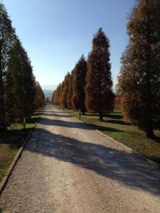 Gallery image of La Vedetta B&B con Ristorante e Acetaia in Castelvetro di Modena +48 photos