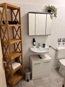 a bathroom with a sink and a mirror and a toilet at Idylle Apartments - Park & Therme in Bad Ems