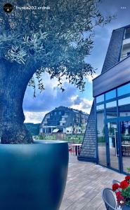 Paisaje cerca de este apartamento
