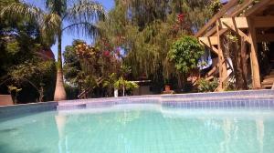 een leeg zwembad met bomen op de achtergrond bij Petit Hotel Caraguata in Puerto Iguazú
