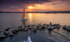 Un grupo de pájaros sentados en el agua con un velero. en Apartment Vesi, en Varna