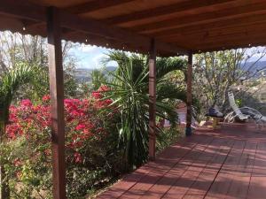 Ogród w obiekcie NEW- Rodney Bay two bedrooms BEST VIEW 6