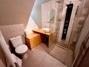a bathroom with a shower and a toilet and a sink at Casa curte interioara, centru in Cluj-Napoca