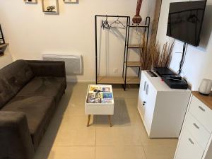 a living room with a couch and a television at Appartement Centre ville in Carmaux +5 photos