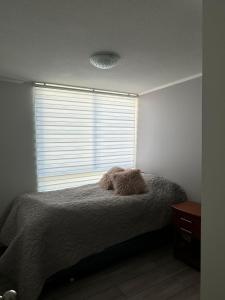 a bedroom with a bed with a large window at Depto Centro Viña in Viña del Mar +15 photos