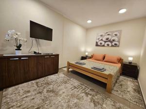 a bedroom with a bed and a flat screen tv at Prenoćište Lana 2 in Novi Banovci