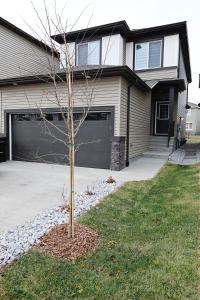ein Baum vor einem Haus mit Garage in der Unterkunft Beautiful Suite King Bed,Long Stays,Disney,Airport in Edmonton