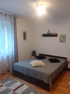 a bedroom with a large bed in a room at Apartament PARTER CU GRADINA in Slănic-Moldova