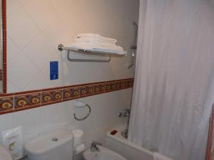 a bathroom with a white toilet and a shower at Hotel Mestas in Arenas de Cabrales