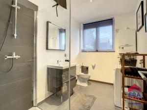 a bathroom with a shower and a sink and a toilet at Les Figuiers - Appartement Cozy avec Jardin in Andenne