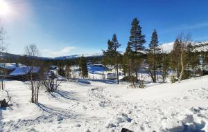 比克勒Koselig Fjellhytte Med Utsikt的一片覆盖着树木和山脉的雪地