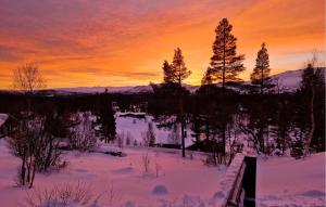 比克勒Koselig Fjellhytte Med Utsikt的冬天的日落,雪和树木
