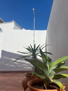 Ảnh trong thư viện ảnh của Casa Tropical - maison typique dans le centre historique d'Olhao ở Olhão