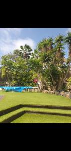 a park with green grass and palm trees in the background at Villa happy Place in Villaverde