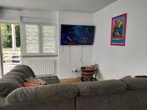 a living room with a couch and a flat screen tv at bel appartement 3 pièces dans la Résidence Vosges-Alsace Orbey in Orbey