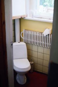 a bathroom with a white toilet and a window at Room in Villa Švarcs & Frīda in Saulkrasti