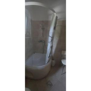 Ένα μπάνιο στο Apartman Dino +14 φωτογραφίες