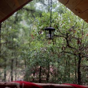 Κήπος έξω από το montaña viviente