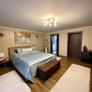 Gambar di galeri bagi Vila Aura di Hunedoara
