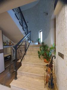a staircase in a house with a stair case at Vila Aura in Hunedoara