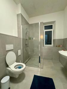a bathroom with a shower and a toilet and a sink at City Ferien Wohnungen 2 in Rosenheim