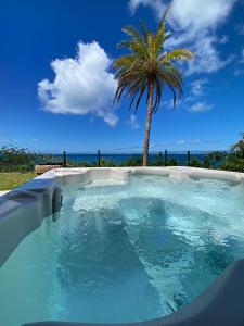 a swimming pool with a palm tree and the ocean at Appartement Happy View - Vue mer paradisiaque - Jacuzzi in Friar's Bay