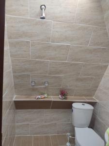 a bathroom with a shower with a toilet in it at Cabaña Lavanda, Copacabana, Antioquia, Colombia in Mazo