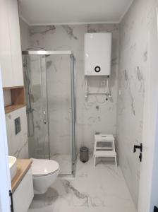 a white bathroom with a shower and a toilet at Kaskade Hill Apartments in Novi Sad +29 photos
