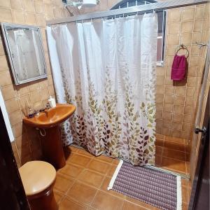 a bathroom with a shower curtain and a sink at Lar na Praia in Praia Grande