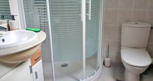 un bagno con doccia, WC e lavandino di Celies Country Cottage a Blaru Altre 25 foto
