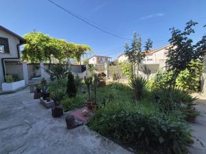 a garden with trees and plants in a yard at Vila Khalo in Mangalia