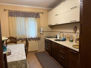 a kitchen with a sink and a counter top at Apartman Nina in Kotor