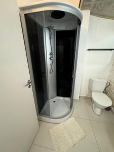 un baño con ducha y WC en Eksporta Appartaments, en Riga 2 fotos más