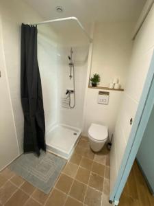 ein Bad mit einem WC und einer Dusche mit einem Duschvorhang in der Unterkunft Appartements centre-ville in Bagnères-de-Bigorre