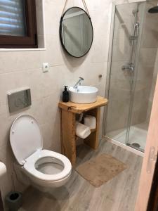 a bathroom with a toilet and a sink and a shower at Casa Rural - Quinze in Rabal +17 photos
