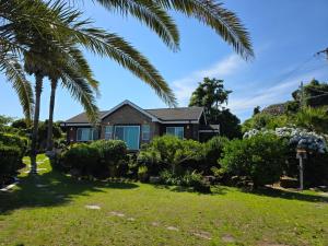 西归浦市gyulpang stay的一栋门前有棕榈树的房子